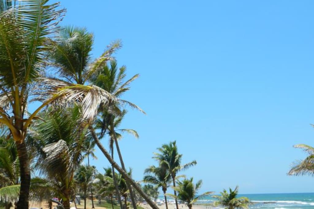 Praia de Stella Maris