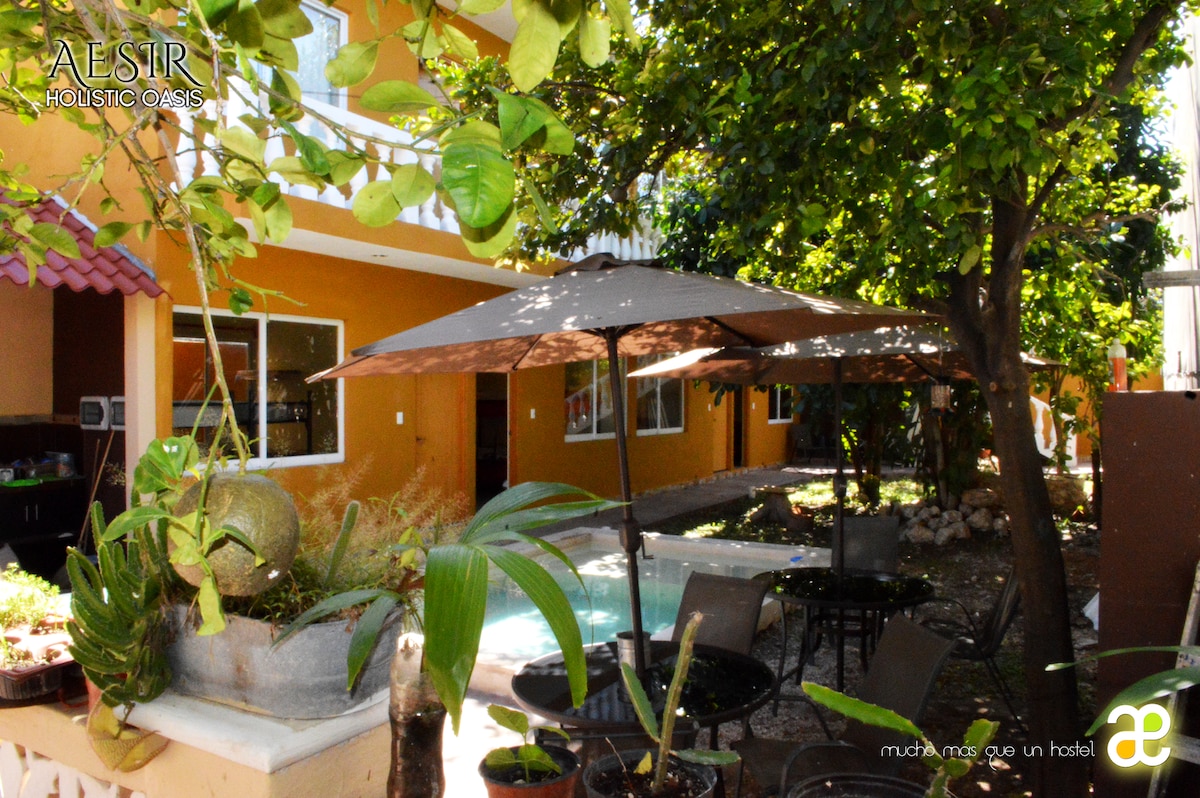 An outdoor area is showcased with lush greenery and shaded seating beneath large umbrellas. A small pool is visible, surrounded by a stone path and potted plants, creating a serene environment. The colorful walls of the building are seen in the background.