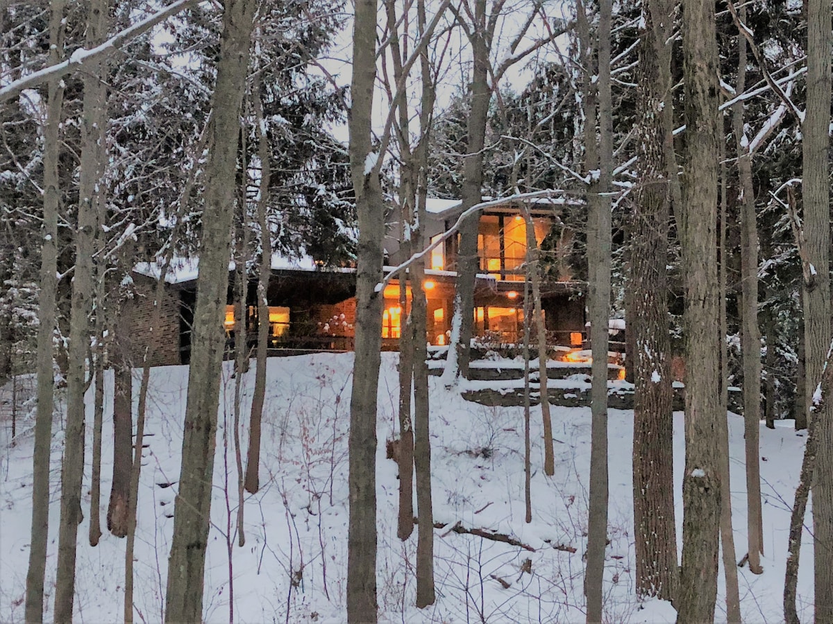 A contemporary home is set against a snowy backdrop, surrounded by tall trees. Soft light emanates from the large windows, illuminating the exterior and creating a warm contrast with the wintry scene. A gentle slope leads up to the entrance, partially obscured by the forest.
