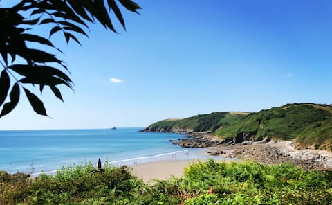 Cornwall secret cabin - Socially distanced heaven!