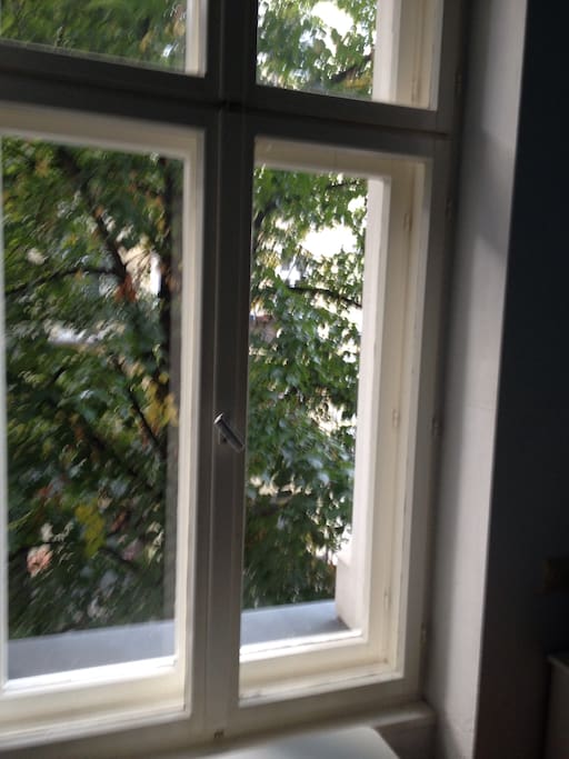 Blick aus dem Küchenfenster