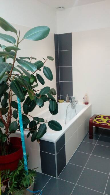 salle de bain avec baignoire + douche douche