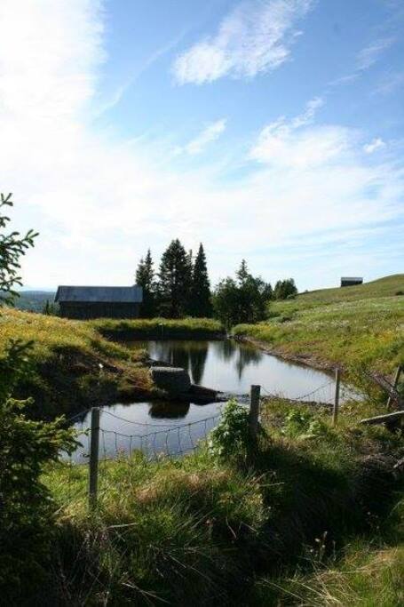 Small pond close by