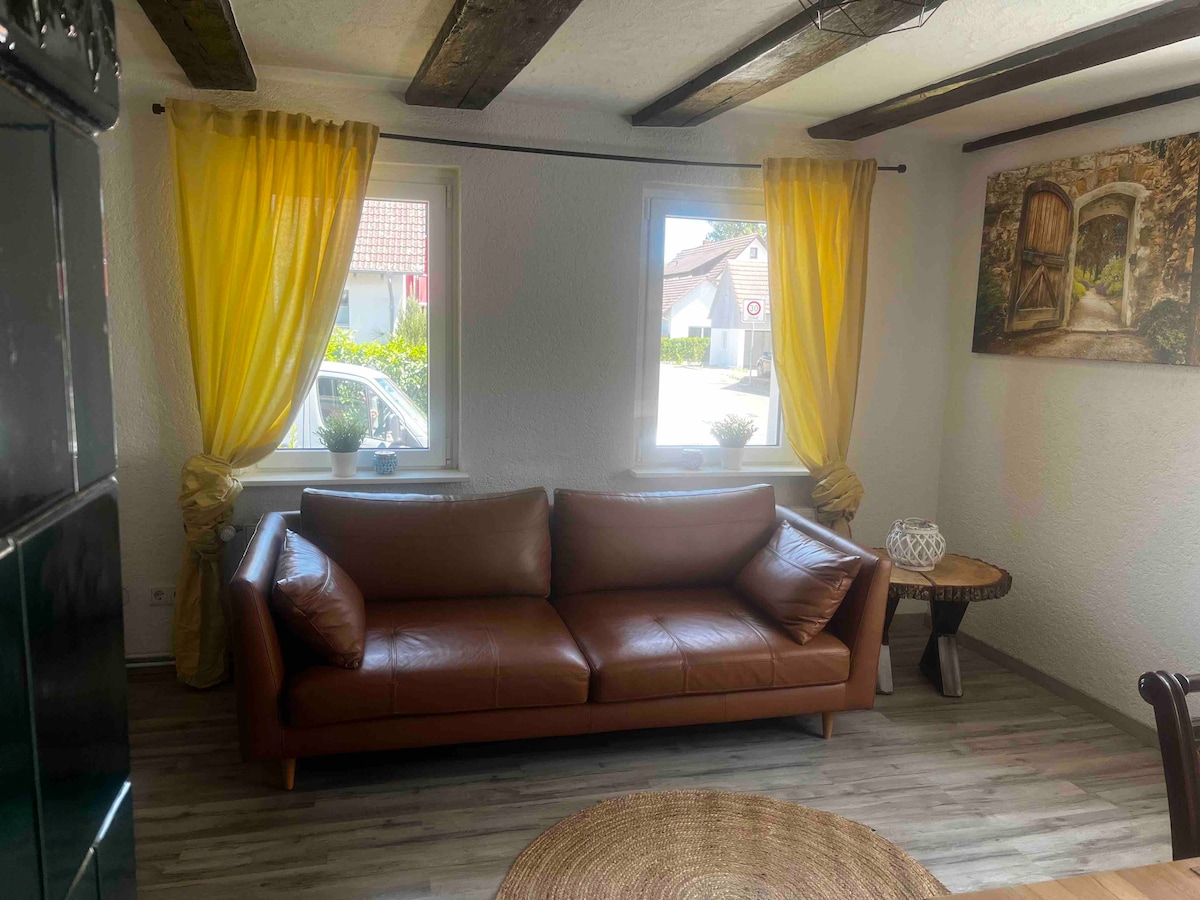 Popular Airbnb listing: Franzis Landhaus in Konstanz