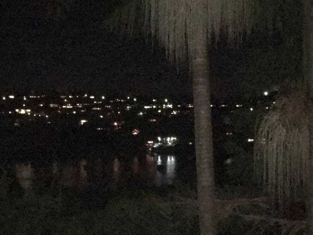 Mosman Harbourside Home gallery image 4