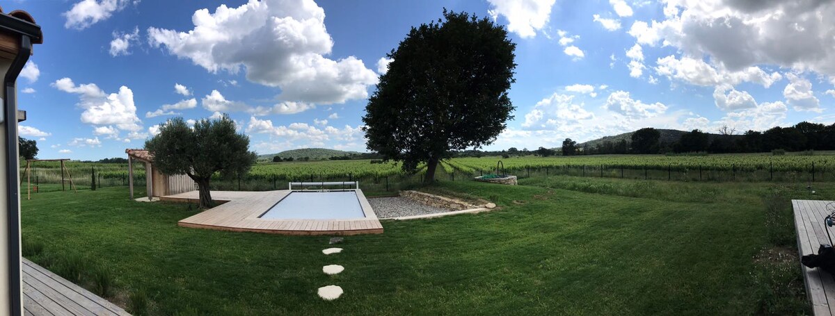 A panoramic view captures a landscaped yard featuring a secure pool surrounded by wooden decking and grassy areas. A large tree provides shade, with a stone border accentuating the pool's edge. Rolling vineyards are visible in the background, under a partly cloudy sky.