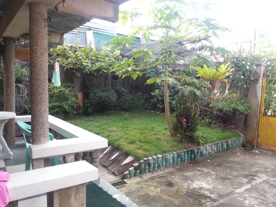 garden in front the house