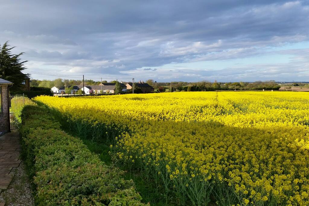 Set in the countryside