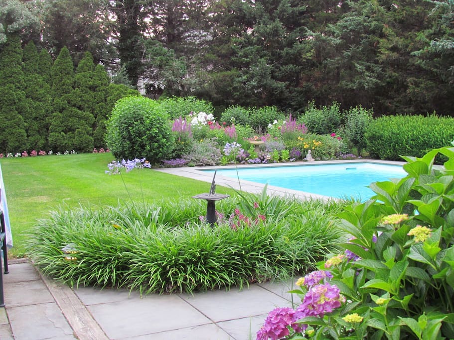 Backyard landscaping,pool, and patio.