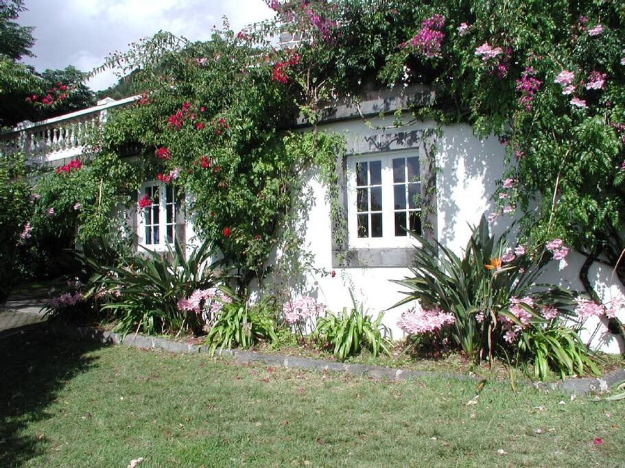 House fasade