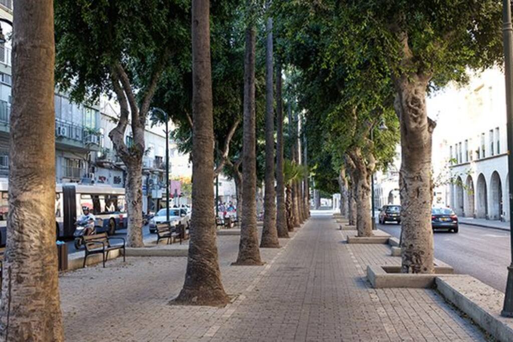 The street