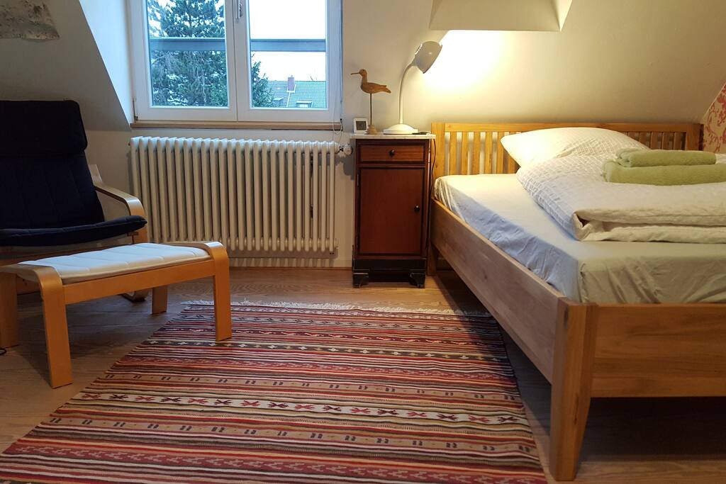 Blick in den Garten