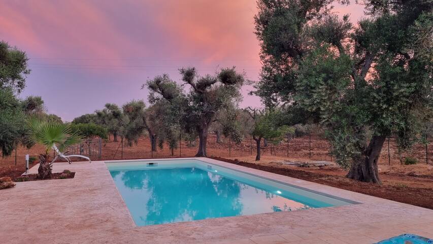 Hübsche Villa mit privatem Pool im Olivenhain