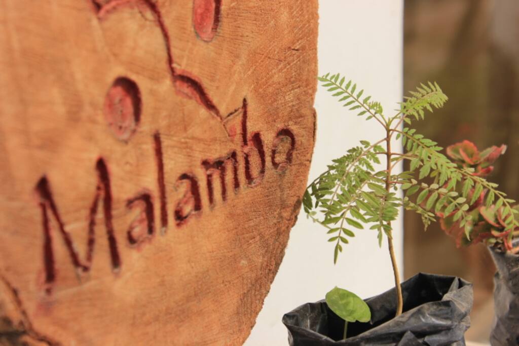 malambo es el nmbre del barrio afroperuana dnde empezamos un proceso de cambio