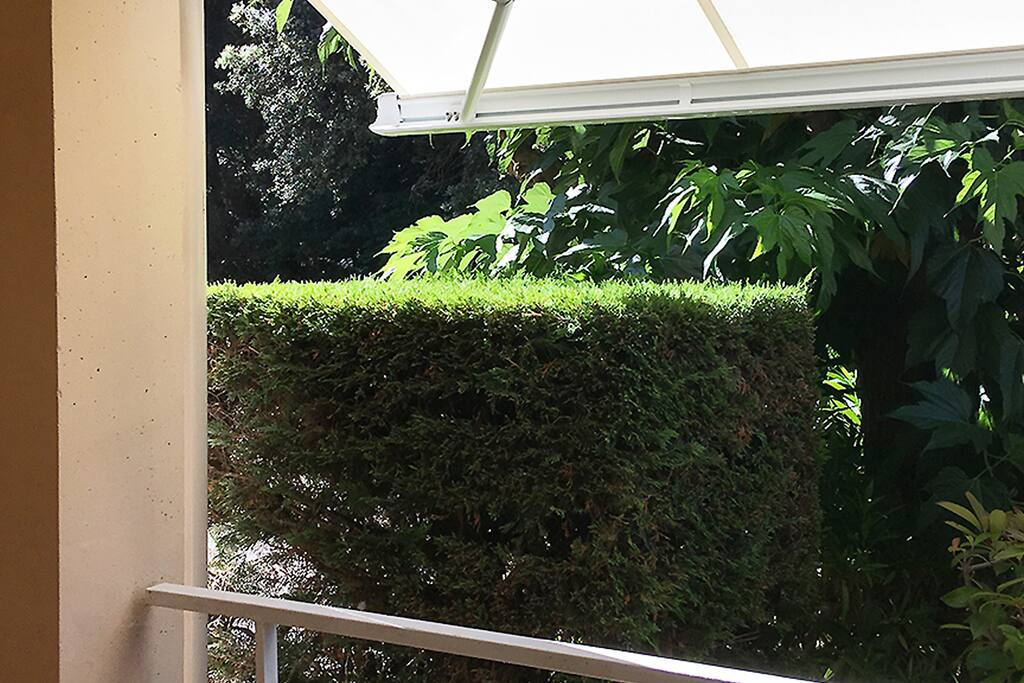 Loggia protégée par la végétation
