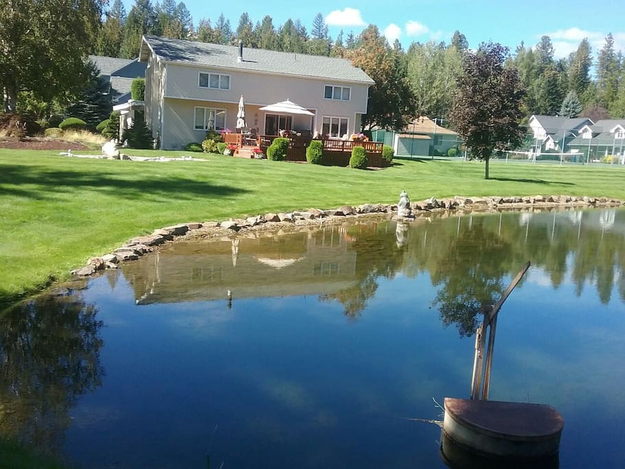 Pond by home.