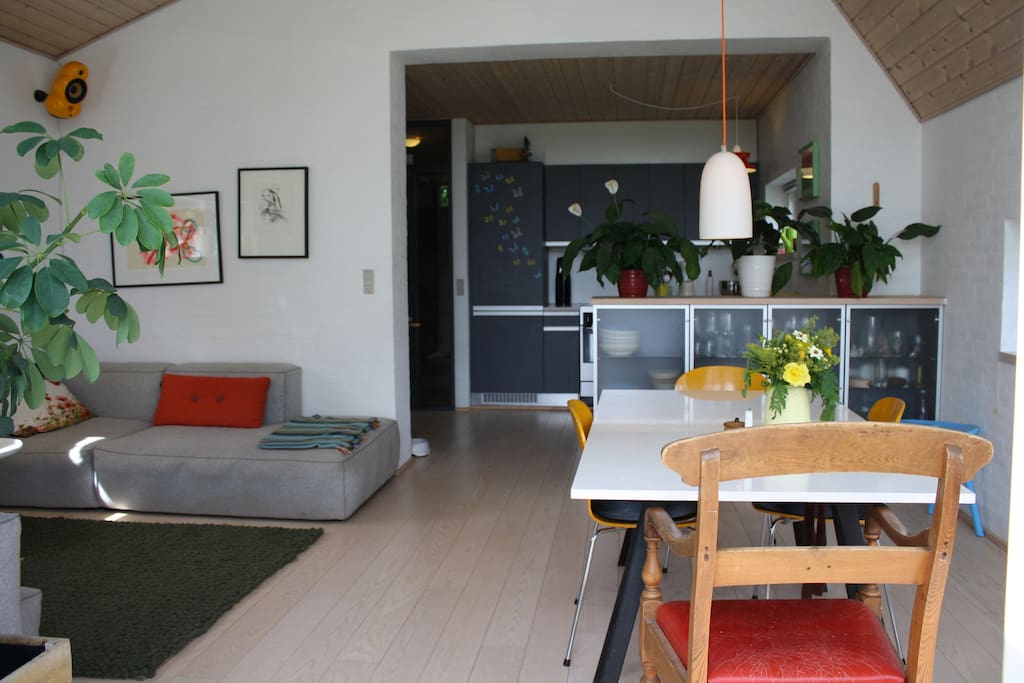 Living room and kitchen