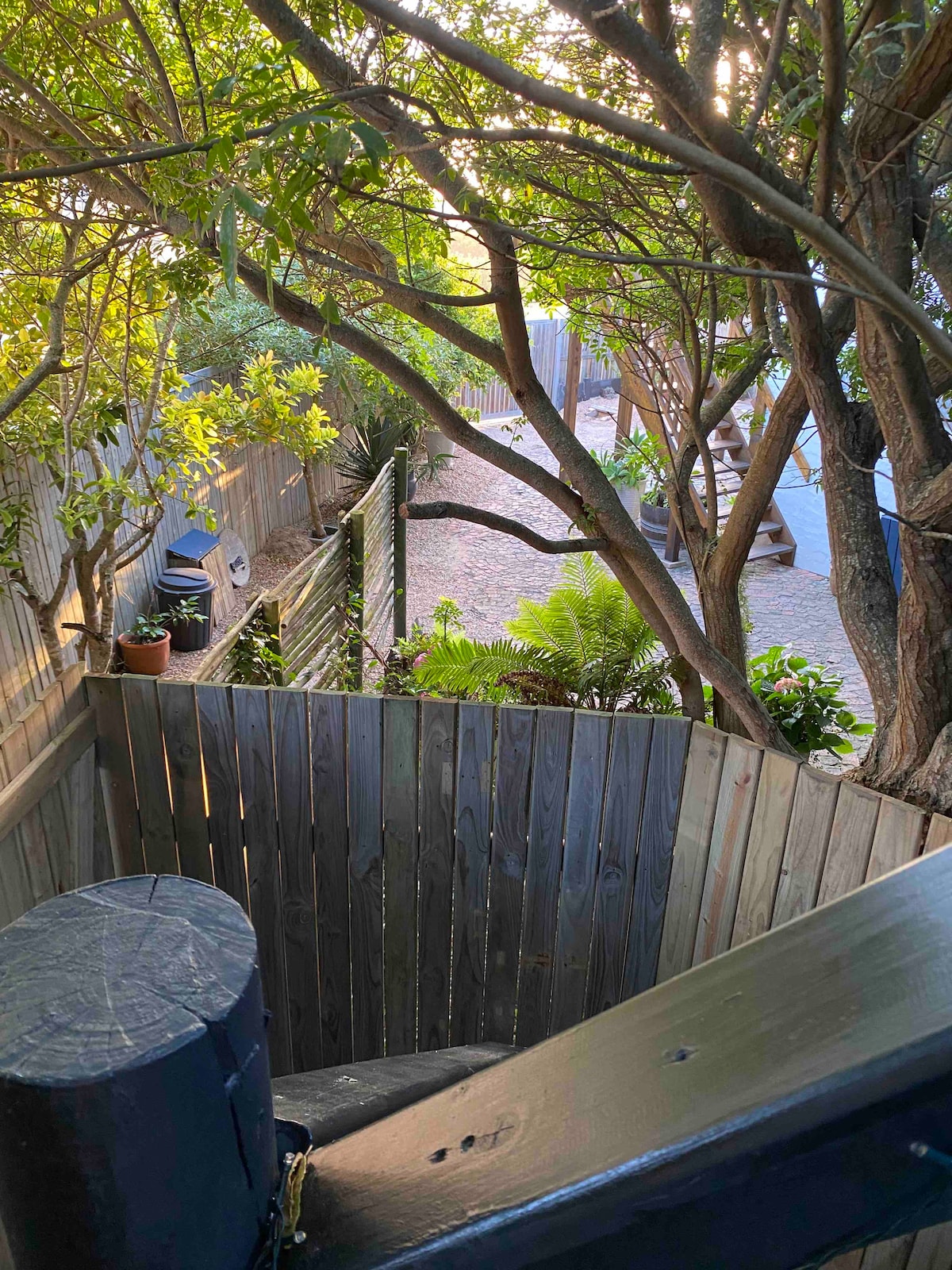 A wooden staircase winds down from the treehouse, leading to a private enclosed area surrounded by greenery. Sunlight filters through the trees, illuminating a path that extends beyond a wooden fence. Potted plants and ferns contribute to the tranquil atmosphere.