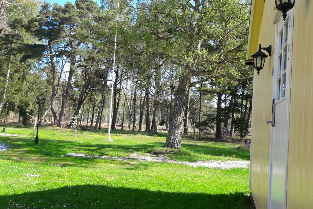 Spring is finally here