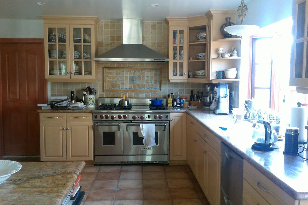 Gourmet kitchen