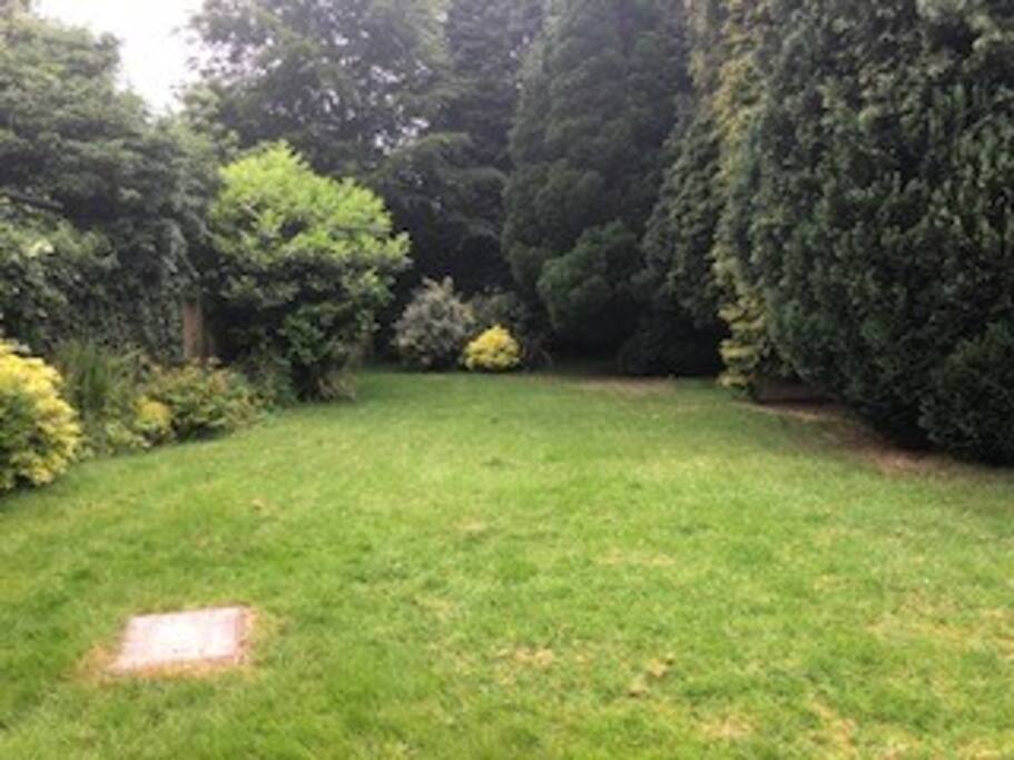 The garden