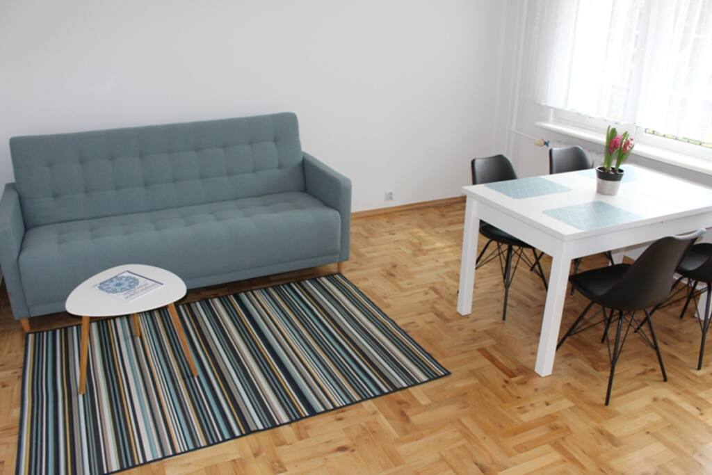 Living room. Double sofa bed