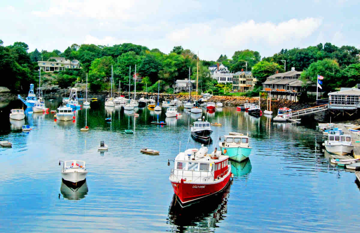 A calm waterfront scene is depicted, showcasing a collection of boats gently bobbing in the water. Surrounding greenery and residential buildings create a serene backdrop, while the clear blue sky adds to the tranquil ambiance of the area.