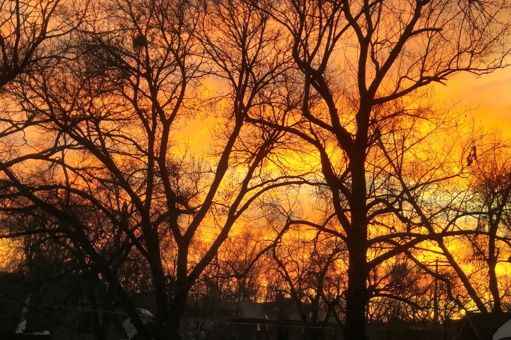 This photo was taken from our porch! We hope you enjoy it as much as we do!!!