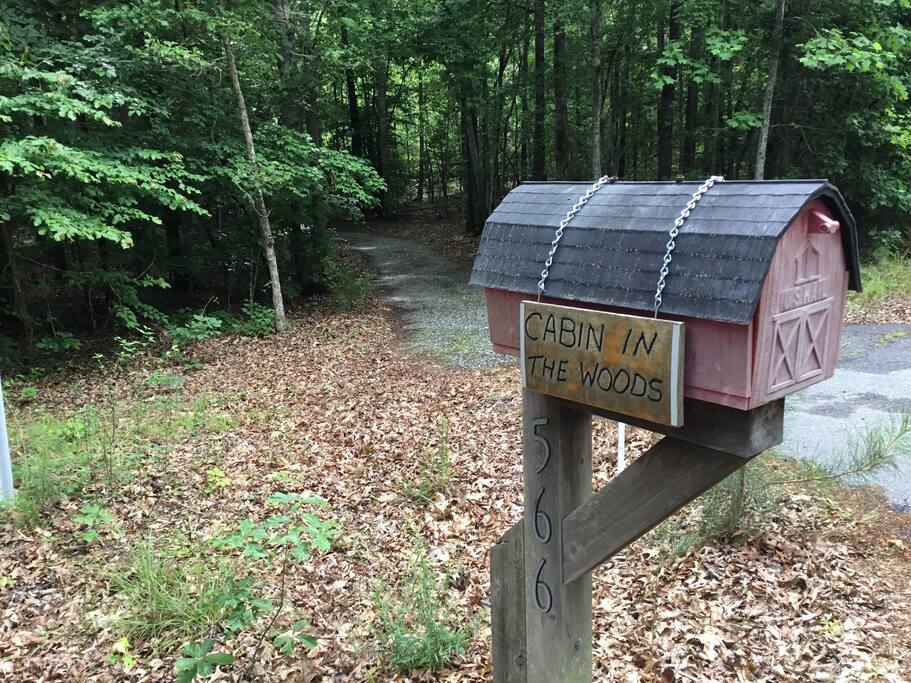 Your driveway to the cabin from the road.