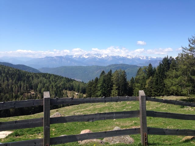 Mountain Home