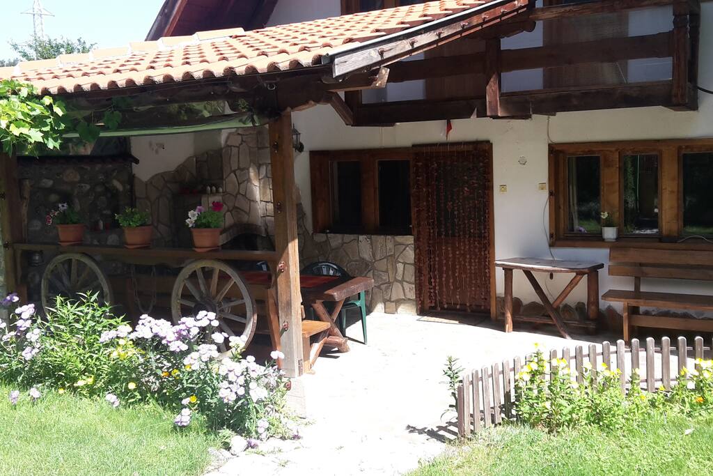 Front Yard