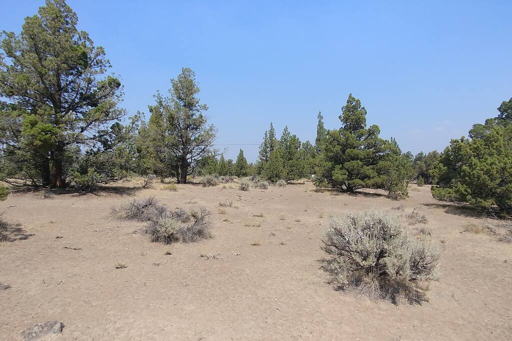 campsire photo
