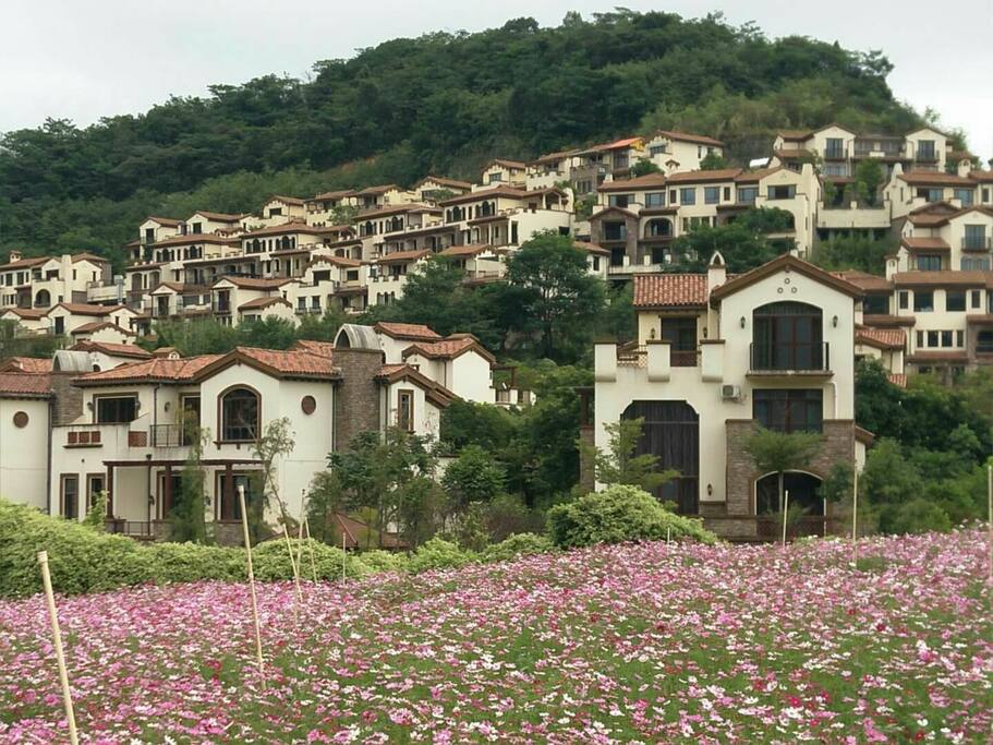 养生谷别墅远景