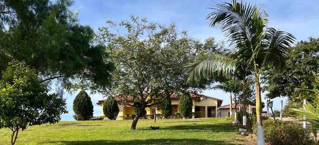 A spacious outdoor area is depicted, featuring manicured green grass and a variety of trees, including palm and fruit trees. The house, with a red-tiled roof, stands in the background, surrounded by lush vegetation. The serene atmosphere is enhanced by the open space.