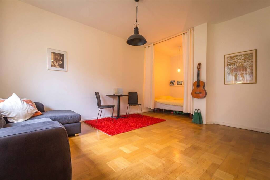 Main room (living room) with separate bed area (closed off with curtains)
