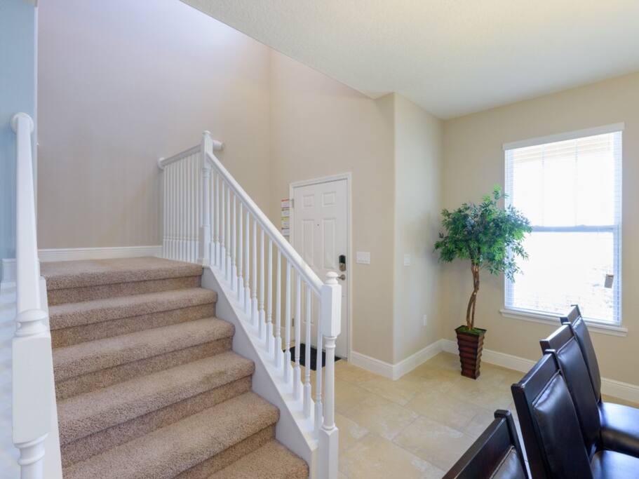Tree,Banister,Handrail,Staircase,Chair