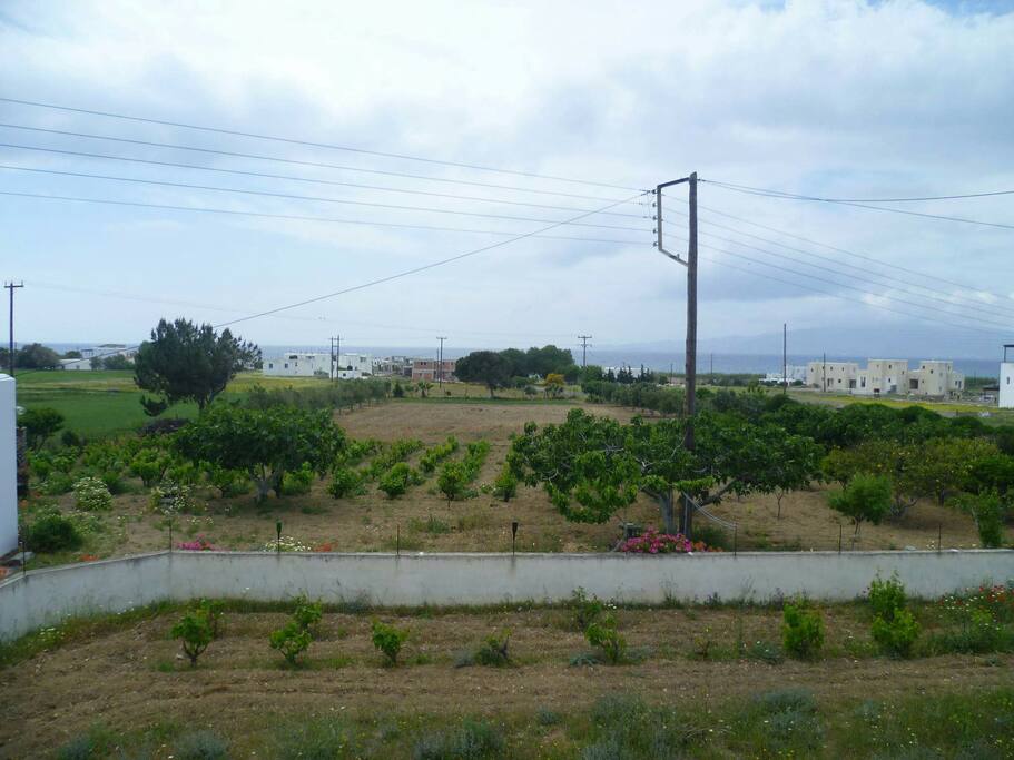 View from balcony
