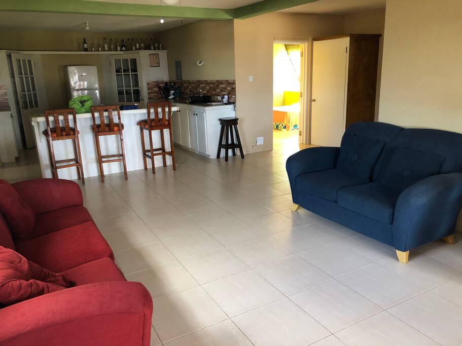 Open living room and kitchen in rear