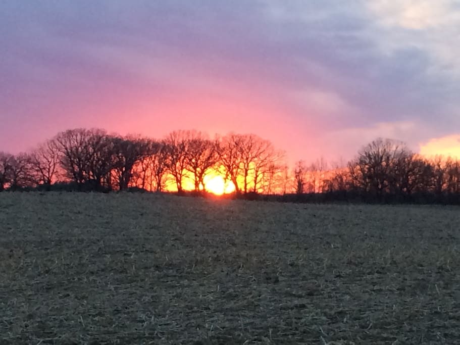 One of the many beautiful sunsets seen from our backyard