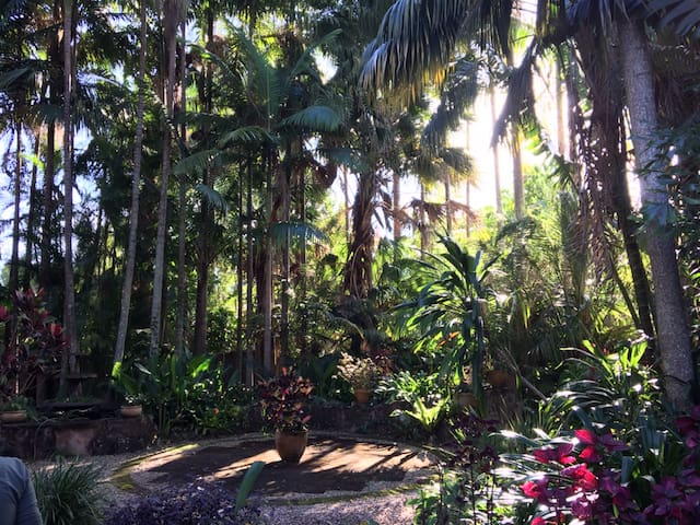 Tropical Tree House Retreat
