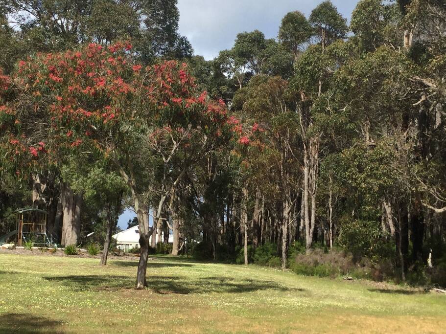 Bush land and park across the road.