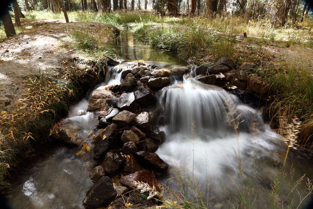 Stream and waterfalls on property