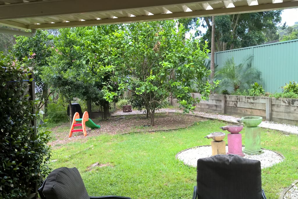 Our Backyard. There should be some lemons for you