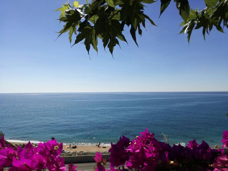 Zona tranquila y a 5 minutos de la playa.