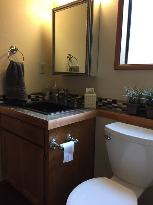 Private shower, sink, toilet adjacent to guest bedroom