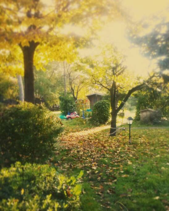 Il giardino in autunno