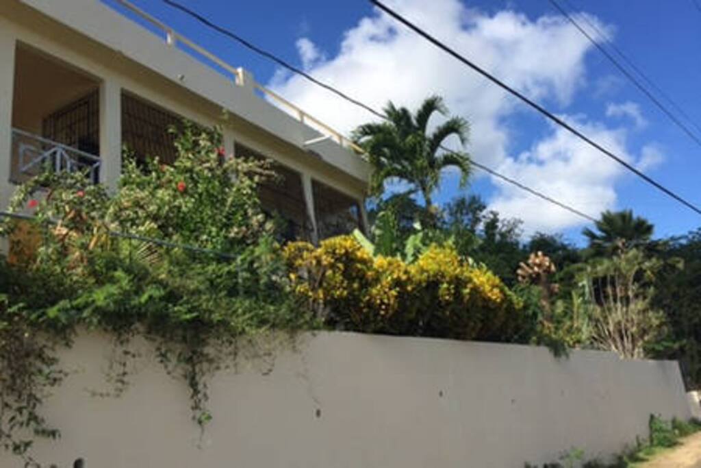 Front of the house from the street
