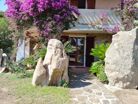 Villa baia sardinia costa smeralda vista Caprera