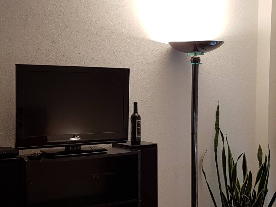 Fernseher