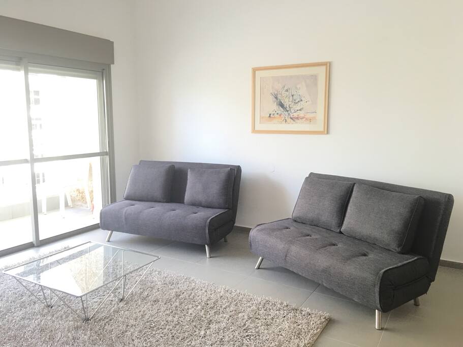Comfy pullout sofas